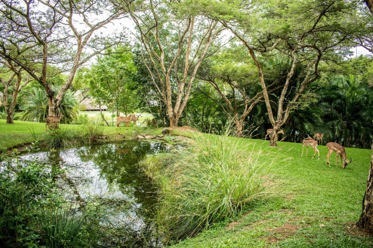 Inyamatane Luxury Lodge Hazyview Eksteriør billede