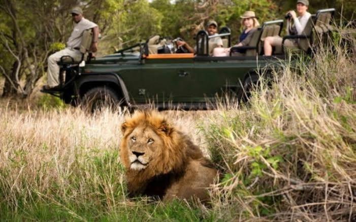 Inyamatane Luxury Lodge Hazyview Eksteriør billede